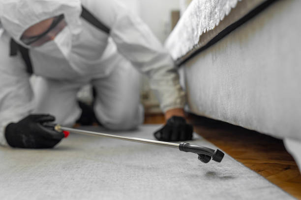 Professional Bed Bug Control technician working in Syracuse, NY